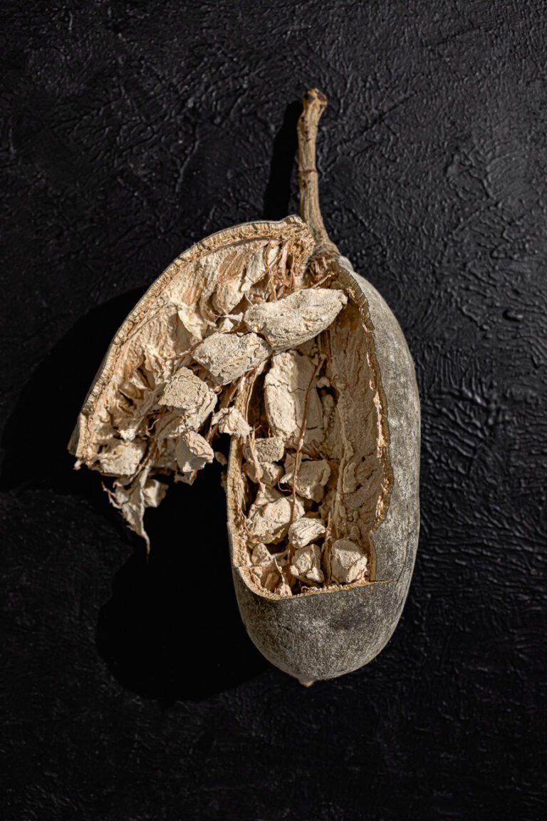 Exploring benefits of the Mighty baobab fruit