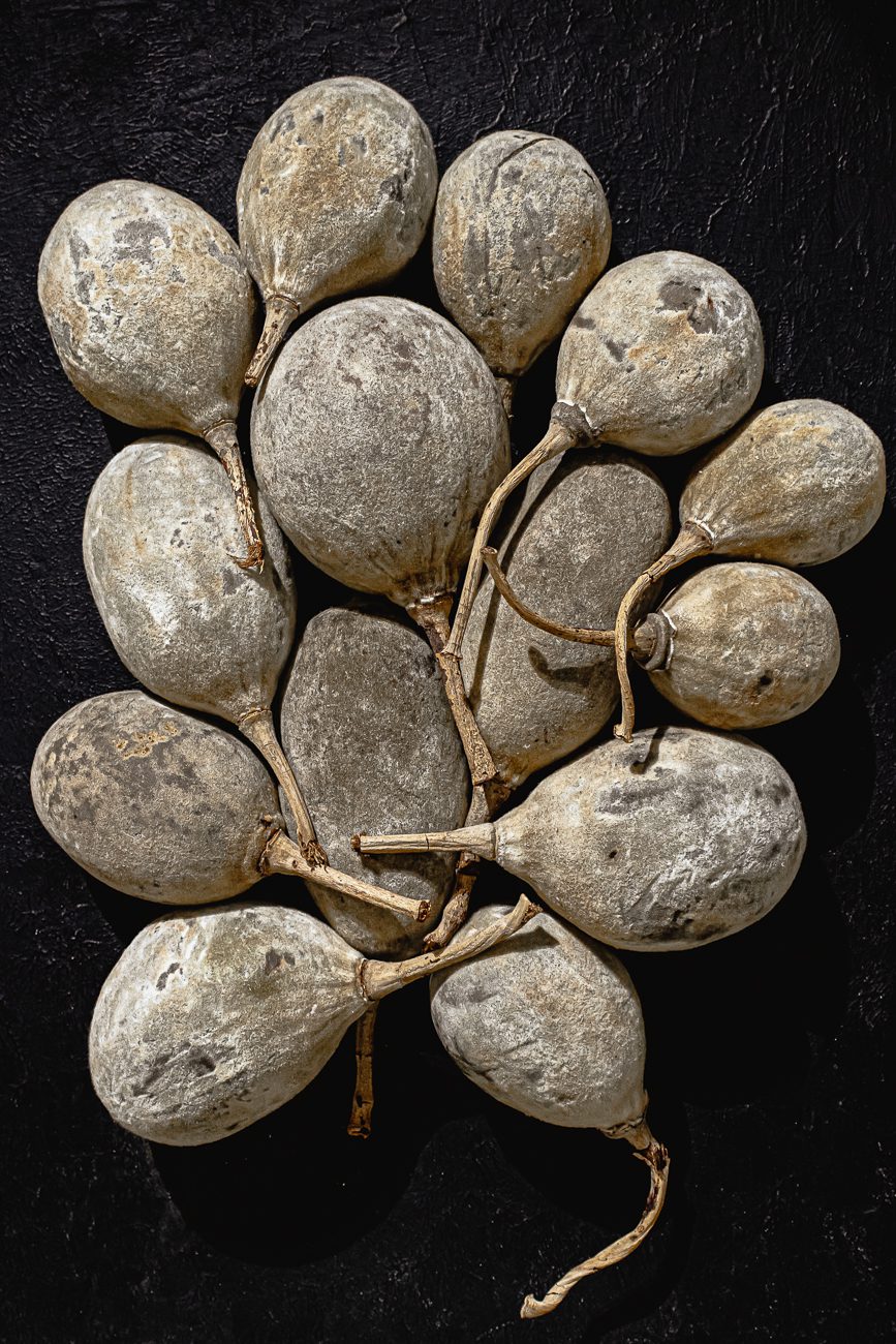 baobab fruit 